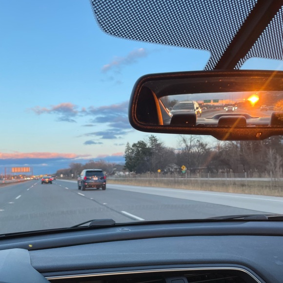 Meet your Posher, Ruby - Picture 1 of 1